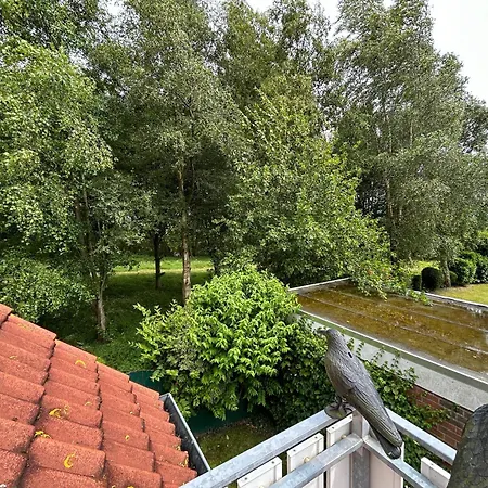 Сasa de vacaciones Nr 15 - 